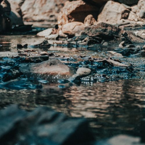 nithin-sameer-U-PvH98DSO4-unsplash nithin-sameer-U-PvH98DSO4-unsplash